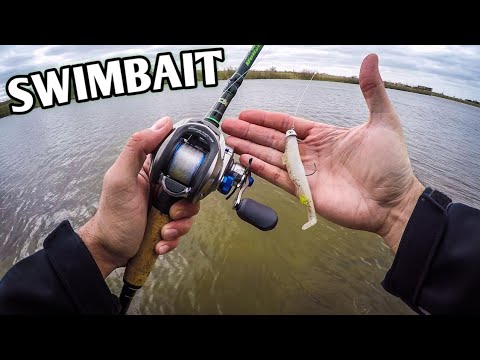 Spring Bank Fishing with a Paddle Tail Swimbait (Beast Coast Chaos-X Swimbait)