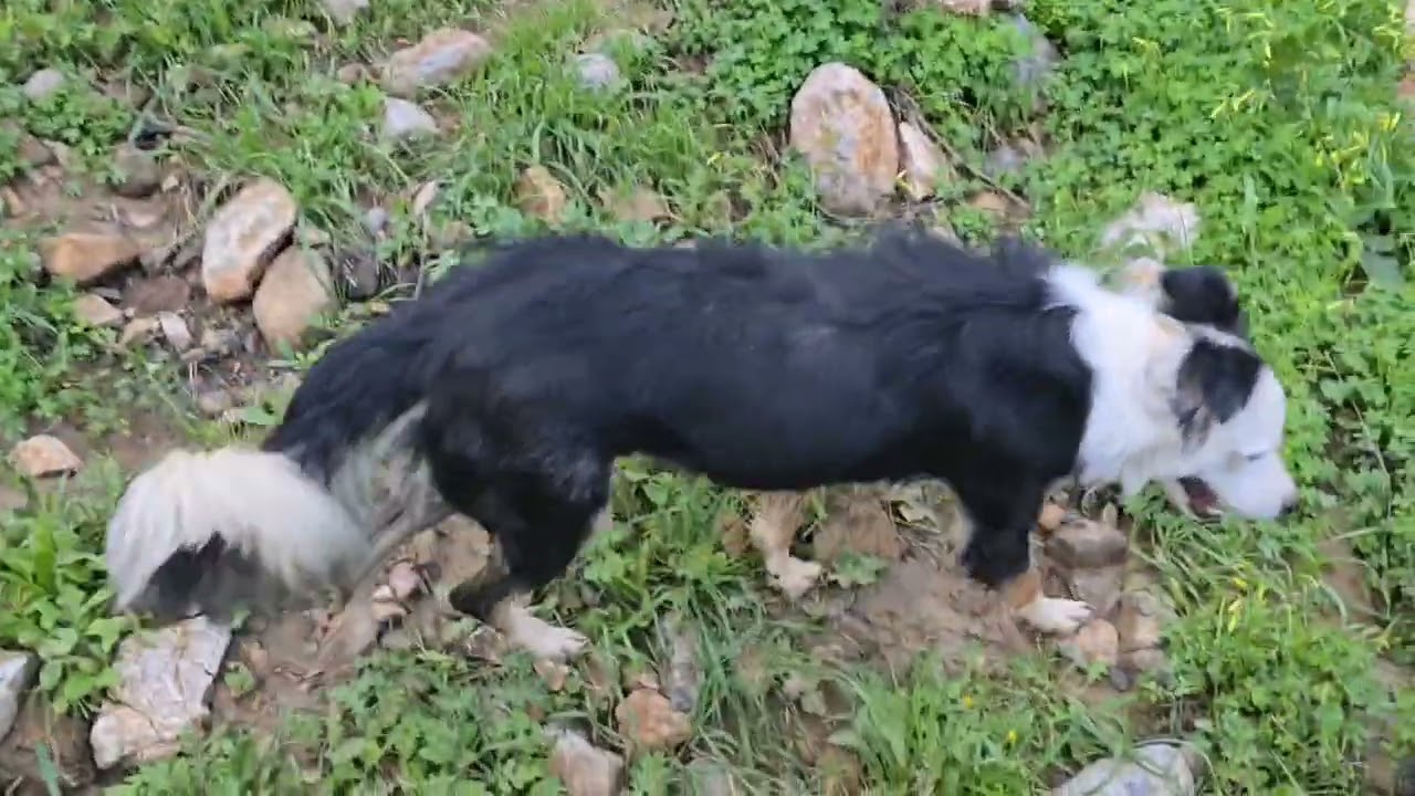 Creando nuestro propio paraíso....