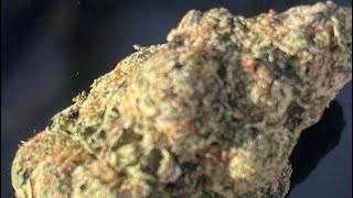 3 Strains (Cannabis Review) - Blueberry Kush, Fight Club & Fruit Loops: Can Og Strain Handle The Mix