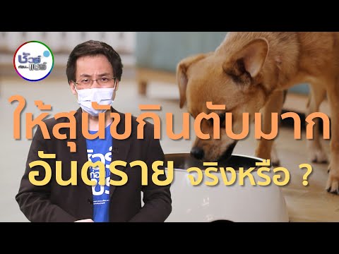 วีดีโอ: สุนัขจะวิ่งไป Comfort เจ้าของร้องไห้แสดงให้เห็นการศึกษา