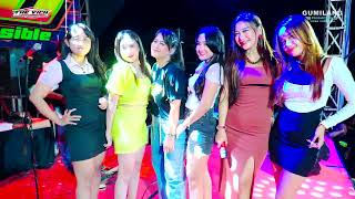 THE VICH MUSIC - SERPIHAN SESAL ALL ARTIS - HAPPY PARTY PSW DI NGEMPLAK KIDOL MARGOYOSO PATI