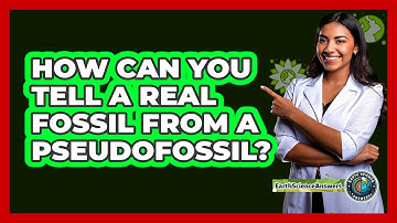 How Can You Tell A Real Fossil From A Pseudofossil? - Earth Science Answers