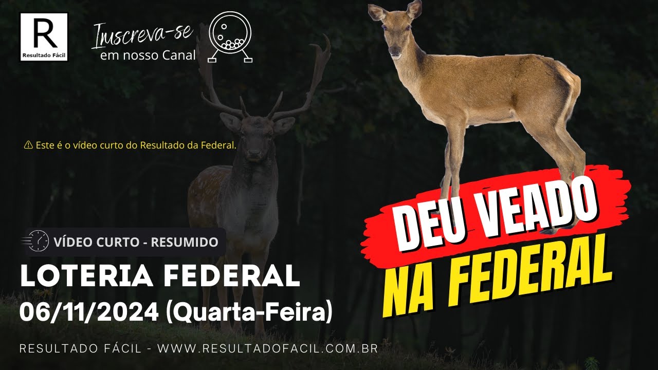 Federal ao vivo de hoje Quarta-feira, 06/11/2024 - Resultado Fácil