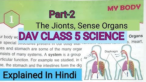 My Body DAV Class 5 Science Chapter 1 My Body Explained in Hindi Part-2/ADARSH 999