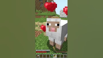 Minecraft Noob vs Pro vs Hacker in shearing sheep....#shorts #minecraft