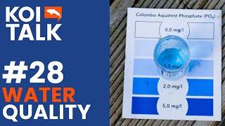 Koi Pond Water Quality | Koi Talk | Ep #028