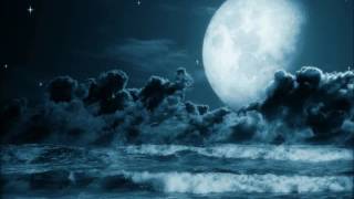 Tahitian Moon -Pornos For Pyros (video Clip) as performed by Black Suit Youth