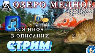 🌟ОЗЕРО МЕДНОЕ🌟Русская Рыбалка 4(РР4)🌟