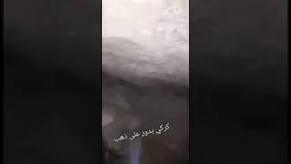 مفاجأه تنظر واحد اردني يبحث عن ذهب داخل مغاره بالاردن