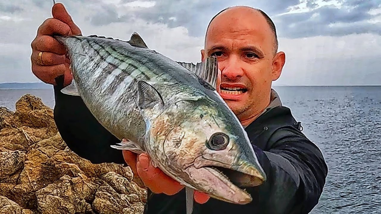 МОРЕТО ЗАВРЯ! Джуруми от паламуди!