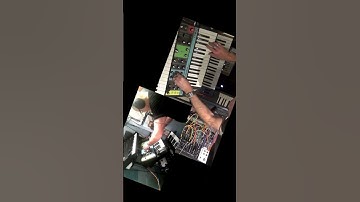 Moog Grandmother crazy solo jam  #moog  #electronicmusic #behringer  #synthesizer
