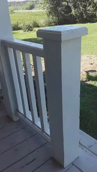 Silly dog