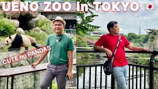 UENO PARK and ZOO In TOKYO 🇯🇵