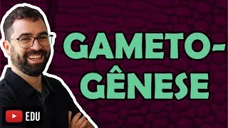 Gametogênese - Aula 35 - Módulo I: Biologia Celular | Prof. Gui