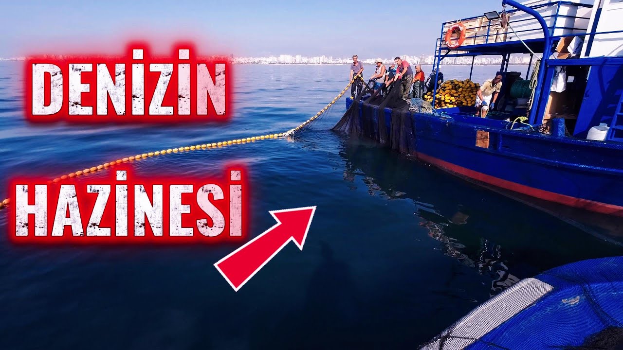 🚨DİKKAT!! İSTİLACI Balık Tekrar Görüldü !! #fishing #fish #balık avı  #balıkçılık