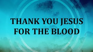 Thank You Jesus For The Blood Instrumental