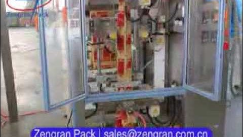 VFS5000E Automatic Sunflower Seeds Packing Line --- Zengran Packaging