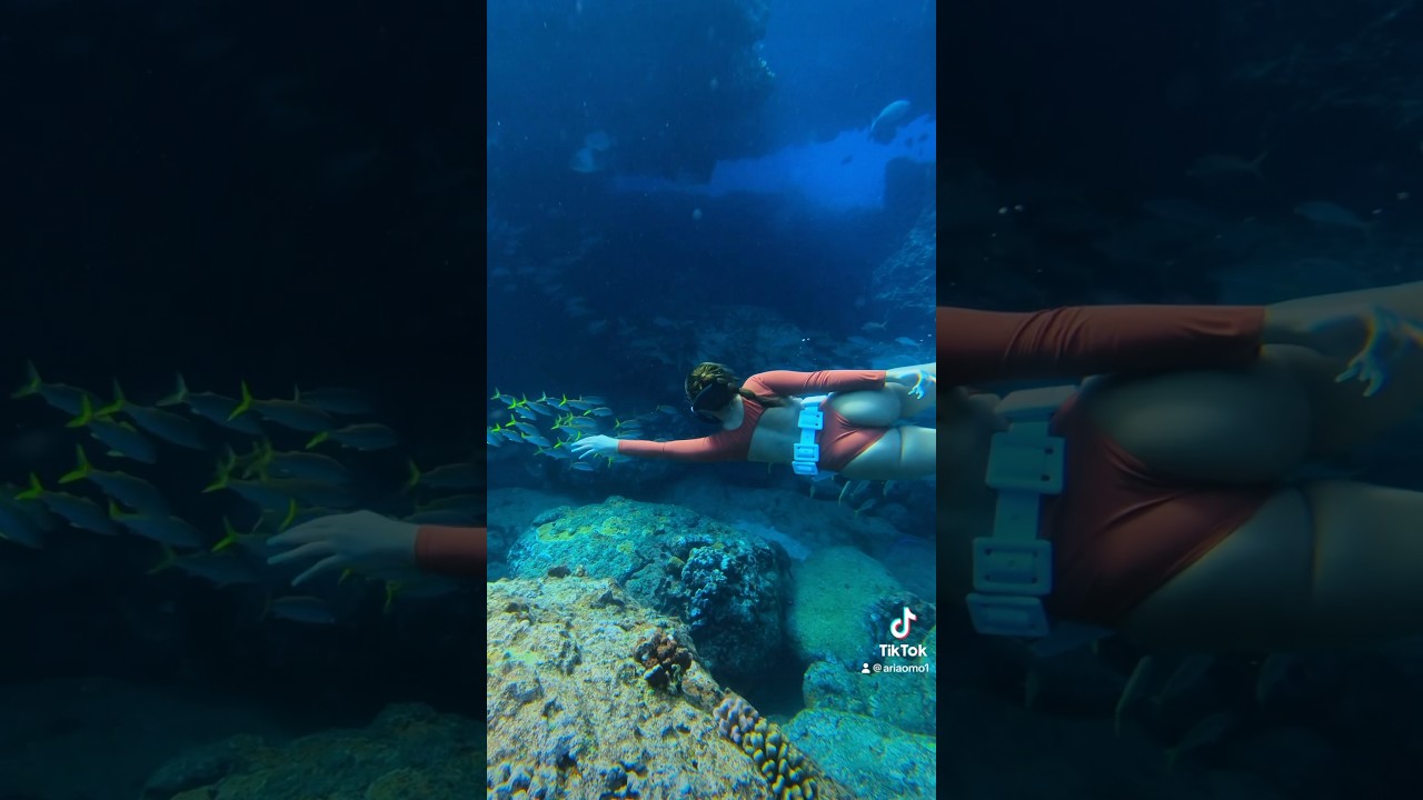 Freediving in Hawai’i is amazing🧜‍♀️ 