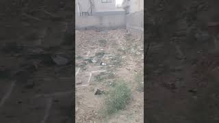 New Site 10 Marla House Central Park Housing Scheme Lahore.  #Project #M J Builder's 0321 1111 999