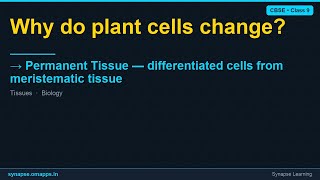 Permanent Tissue — differentiated cells from meristematic tissue | CBSE Class 9 Biology | Synapse