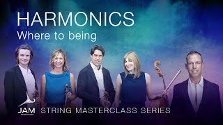 Celebrity 13. HARMONICS: Where to begin — STRING MASTERCLASS SERIES with SACCONI QUARTET Profile