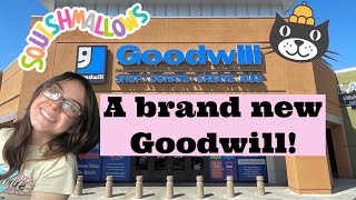 New Goodwill Stocked With Squishmallows