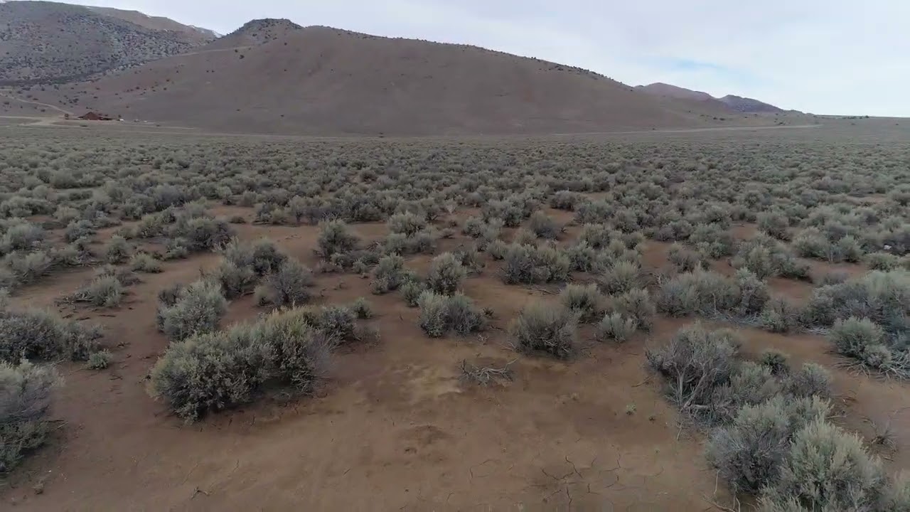 11 Acres Near Topaz Lake