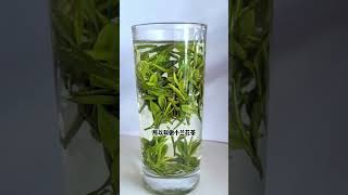 #爱喝茶的关注我 #春茶采摘 #手工制茶 #舒城小兰花