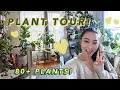 Plant Tour of my Studio Apartment 80+ Plants!