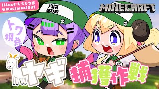 【Minecraft】わためとトワ様でヤギ捕獲作戦じゃあ～！🐐【常闇トワ/ホロライブ】