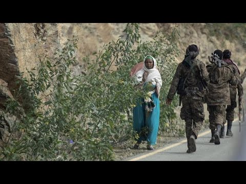 Ethiopia announces Tigray ceasefire as rebels hold regional capital