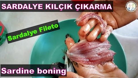 SARDALYE KILÇIK NASIL TEMİZLENİR -Sardine Boning- 186.Bölüm