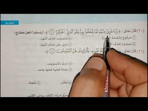حل التدريبات الشاملة لمنهج النحو للصف الثانى الثانوى الترم الاول من كتاب الامتحان ٢٠٢٤ حل التدريبات الشاملة لمنهج النحو للصف الثانى الثانوى الترم الاول من كتاب الامتحان ٢٠٢٤