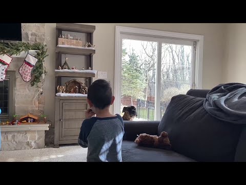 Loading video