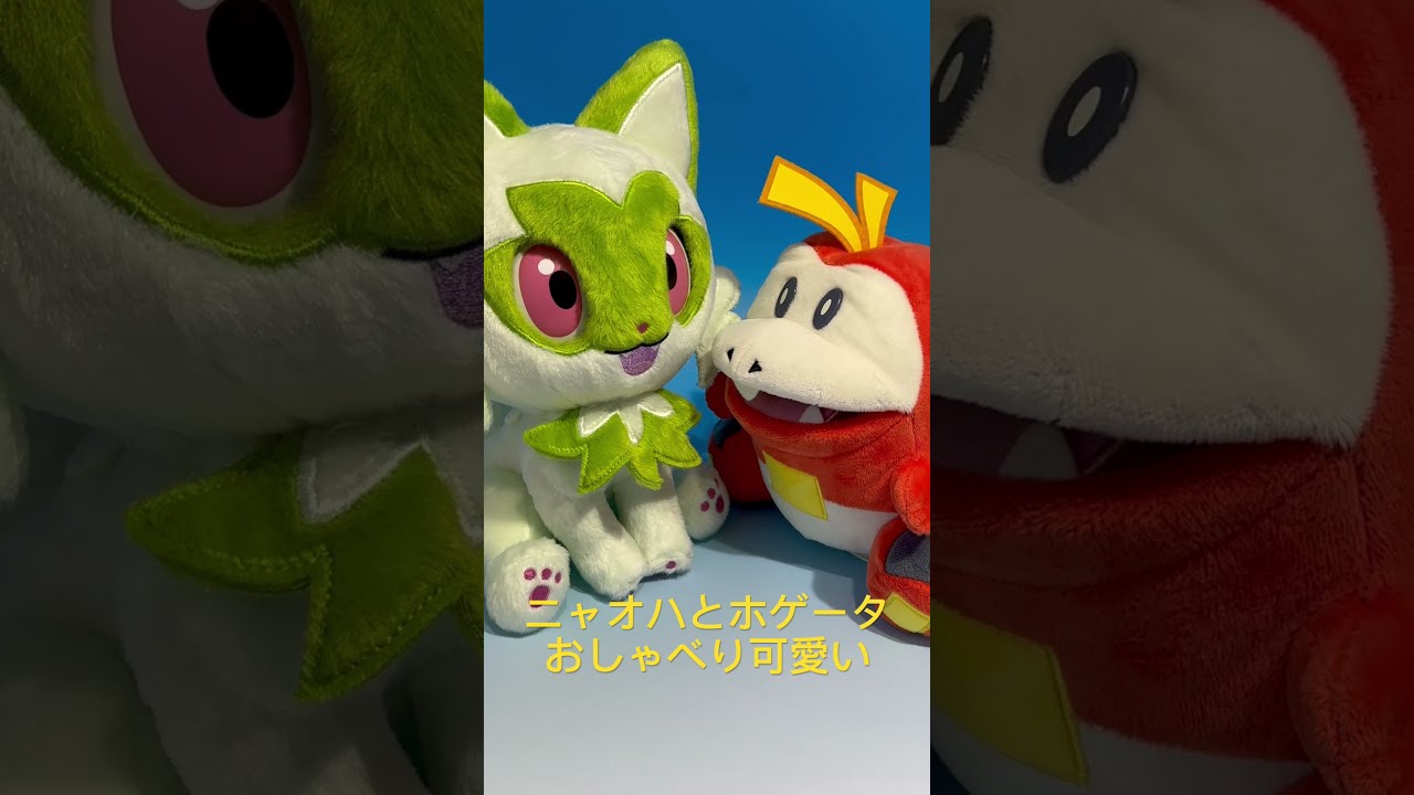 ニャオハとホゲータのおしゃべり - YouTube