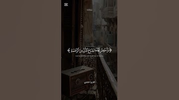 "تلاوة رائعة للقارئ المنشاوي"