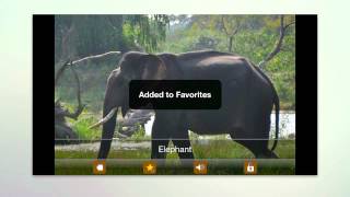 Kids Zoo - Animal Sounds and pictures. Android and iPhone app screenshot 5