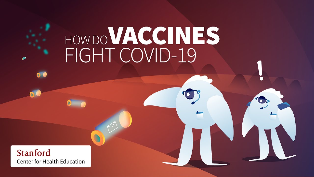 How do vaccines fight COVID-19