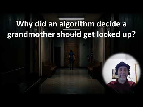 An algorithm jailed a grandmother for 108 days. The police chief says she's still a suspect.