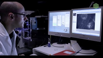 An introduction to on-section CLEM