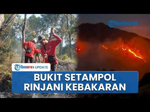 Bukit Setampol Rinjani Kebakaran: Areal Terdampak Capai 589,23 Hektare, Jalur Pendakian Ditutup