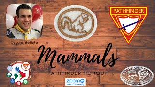 Mammals Pathfinder Honour
