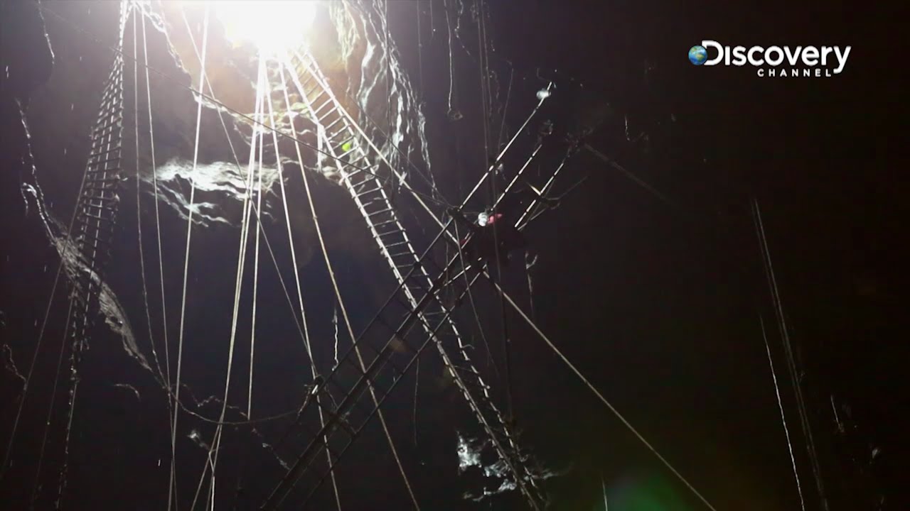 Swiftlet Bird's Nest | Eye On Malaysia 3