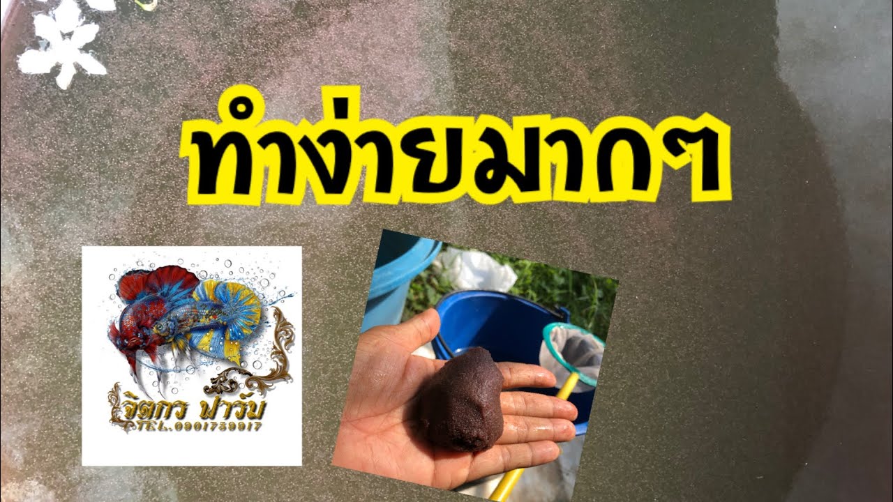 Ep 1.2 มาทำลูกไรให้บูมกันเถอะ