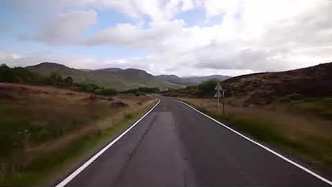 Everybody show lead 3001849