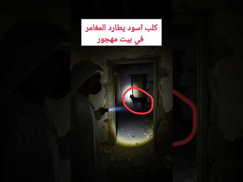 بيت مهجور فيه كلب اسود شكله جني يطارد المغامر جن بيت مهجور قط اسود رعب قصص الجن سحر كلب اسود 