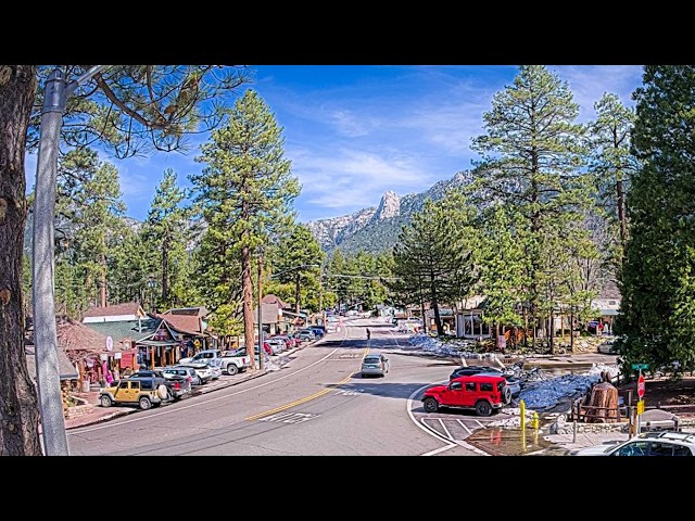 EarthCam Live:  Idyllwild, California