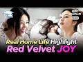 [K-POP] Red Velvet Joy's Cozy Homebody Day Highlight🏠 | I Live Alone #RedVelvet #Joy