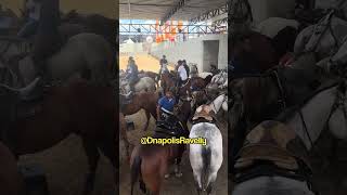 Vaquejada diretamente de Taquaritinga do Norte Circuito BYD de vaquejada