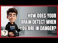 How Does Your Brain Detect when You Are in Danger?